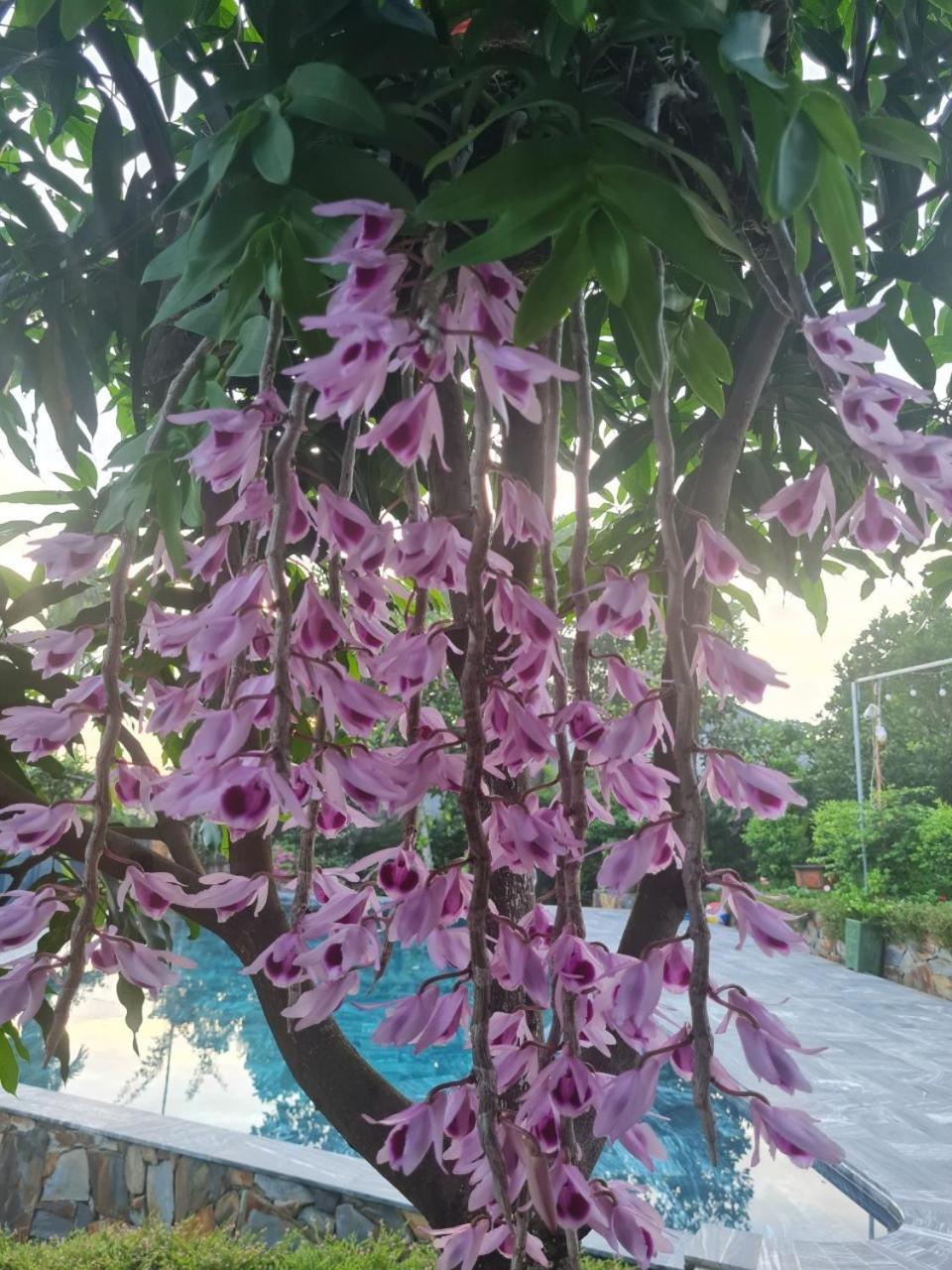 فيلا Byve Garden هانوي المظهر الخارجي الصورة